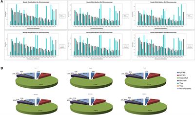 Comparative Genome-Wide Alternative Splicing Analysis of Longissimus Dorsi Muscles Between Japanese Black (Wagyu) and Chinese Red Steppes Cattle